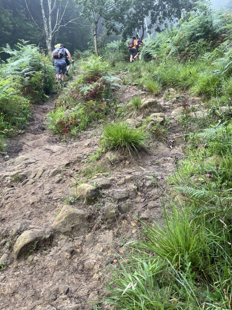 北の道・イルンからサンセバスチャンへ至る山への登り口