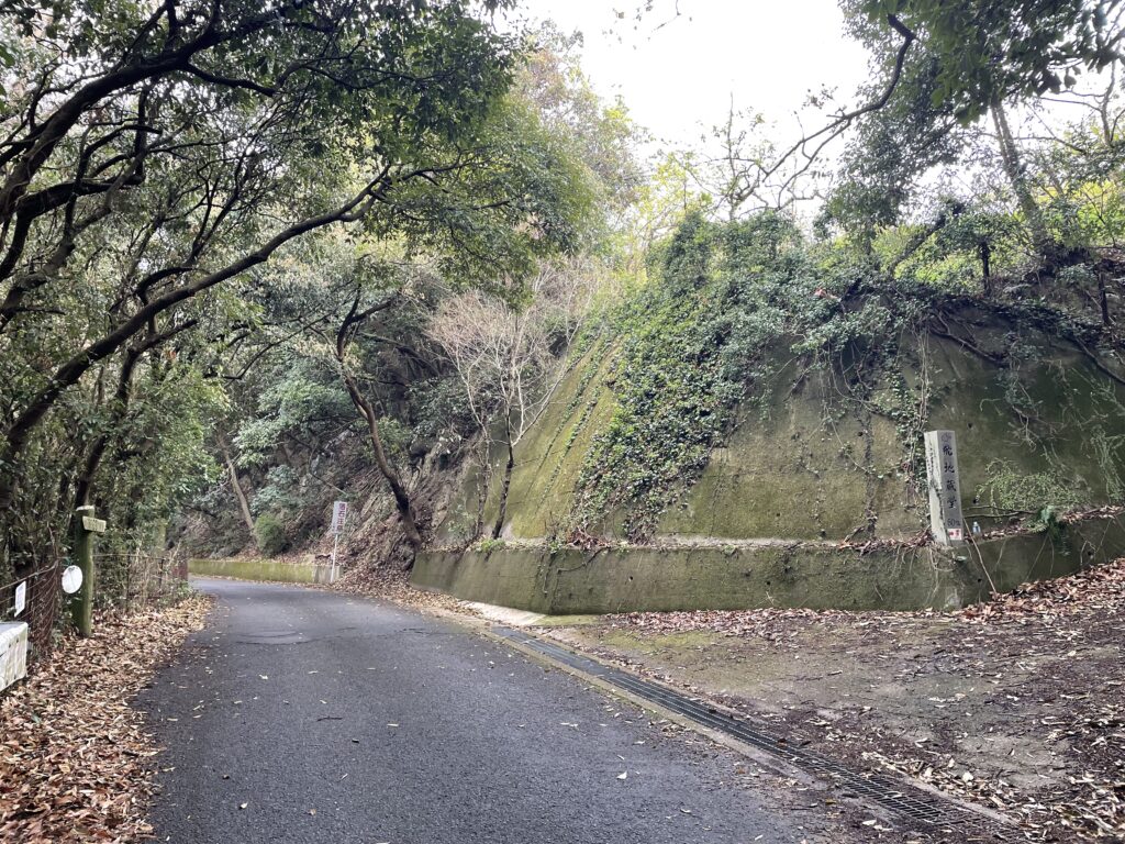 車道と別れて右の歩き道に入る