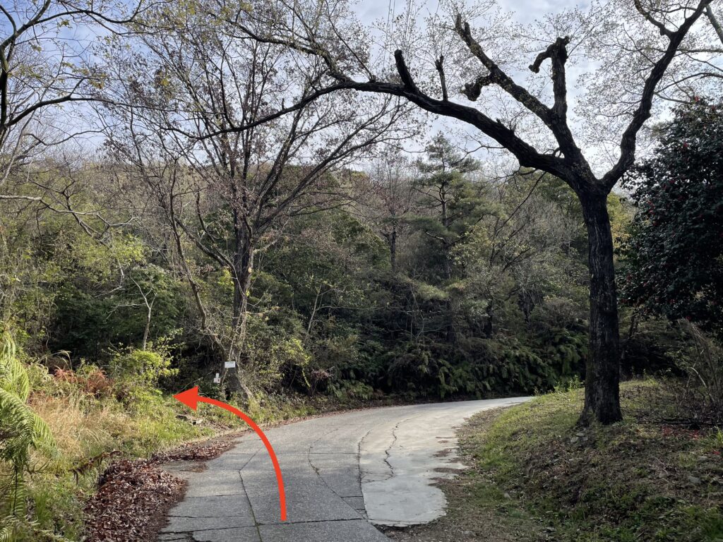 再び山道へ（左手）