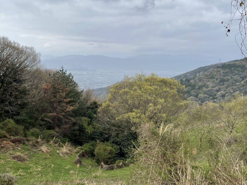 徳島平野と四国山地の山々