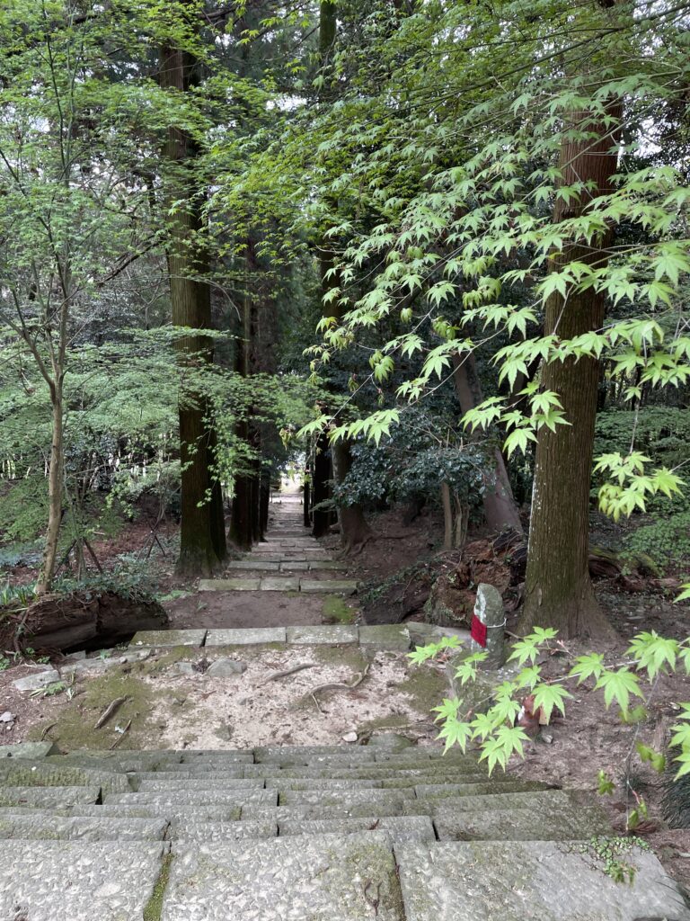 上から見下ろしたところ