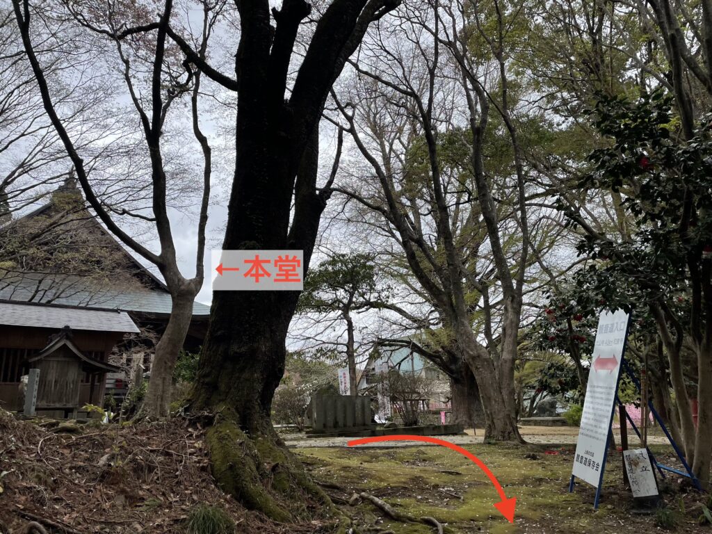 道の入口から境内を振り返って見たところ