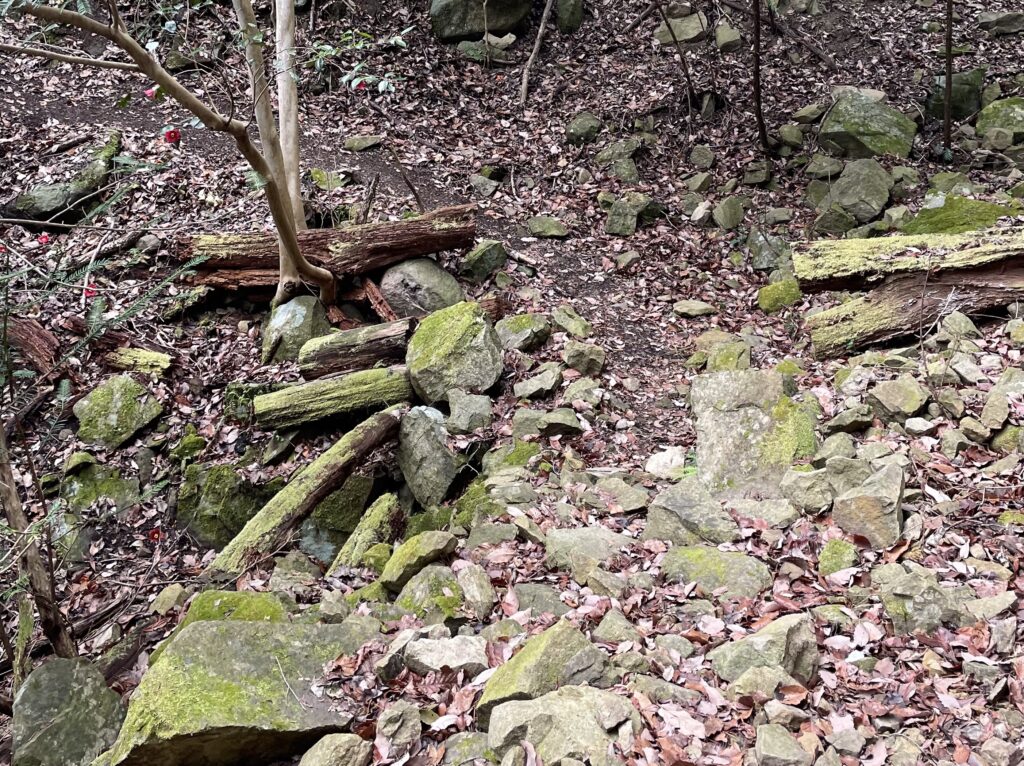 慎重に石ころ道を下る