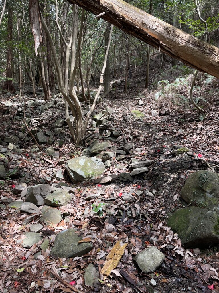 瓦礫の道を下りる