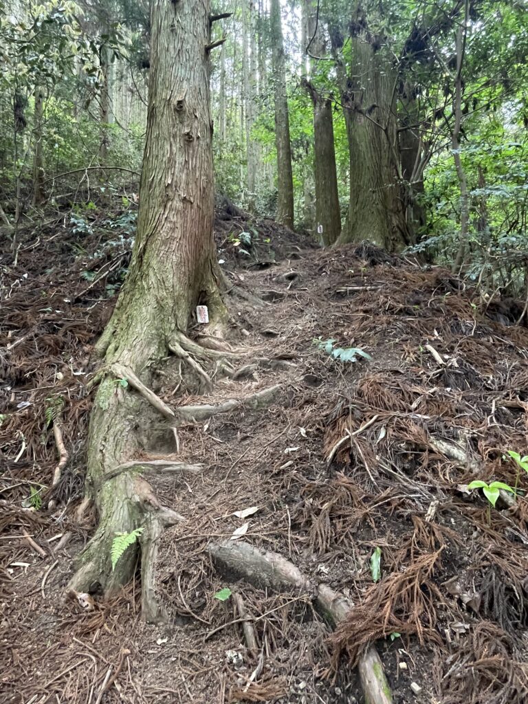 四国遍路道・歯長峠（42番佛木寺〜43番明石寺）