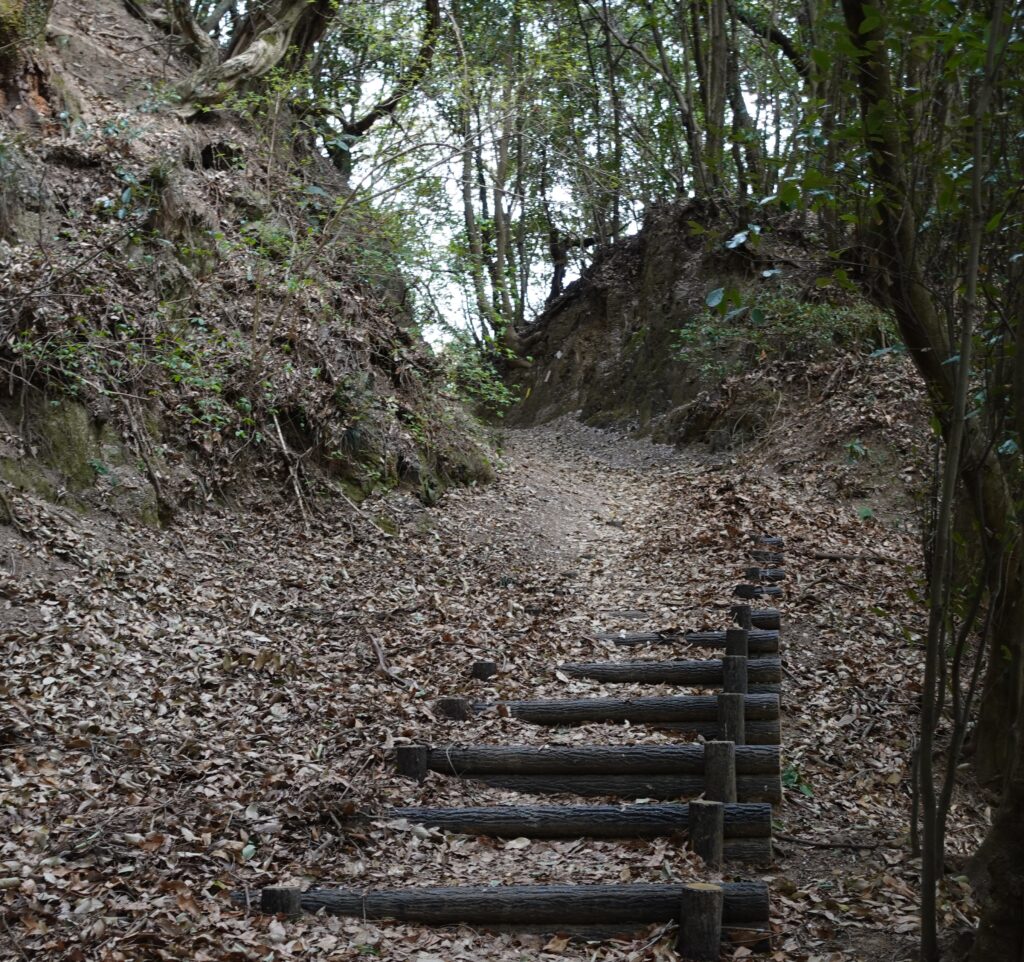 愛染院から大日寺までの道中に出てきた切り通し
