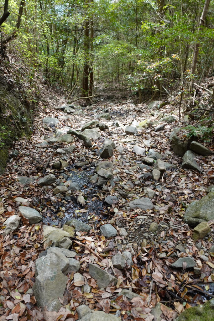 道と沢の区別がつかない箇所も