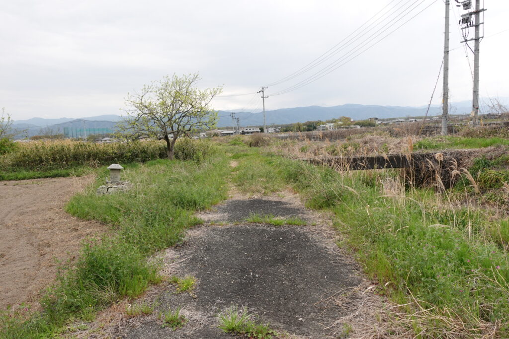 整備されていない川沿いの道を行く
