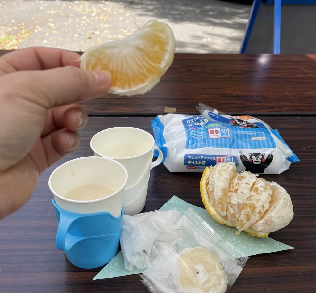 甘夏、甘酒、和菓子