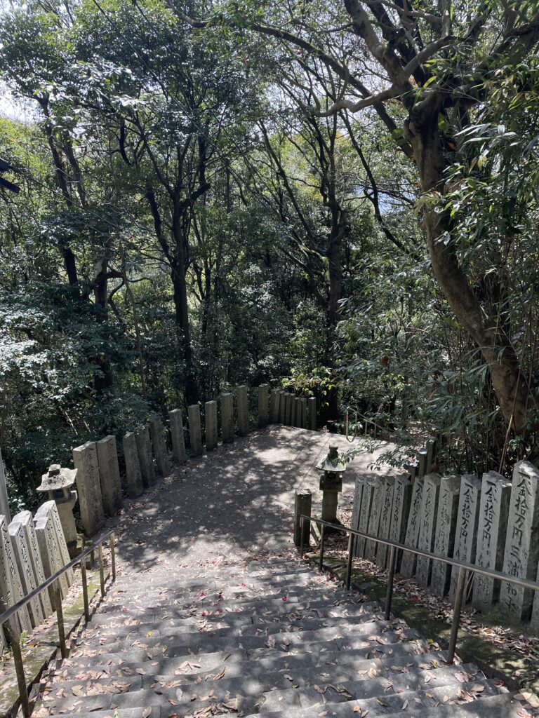 木漏れ日の落ちる階段の下から、涼やかな鈴の音が聞こえてきた