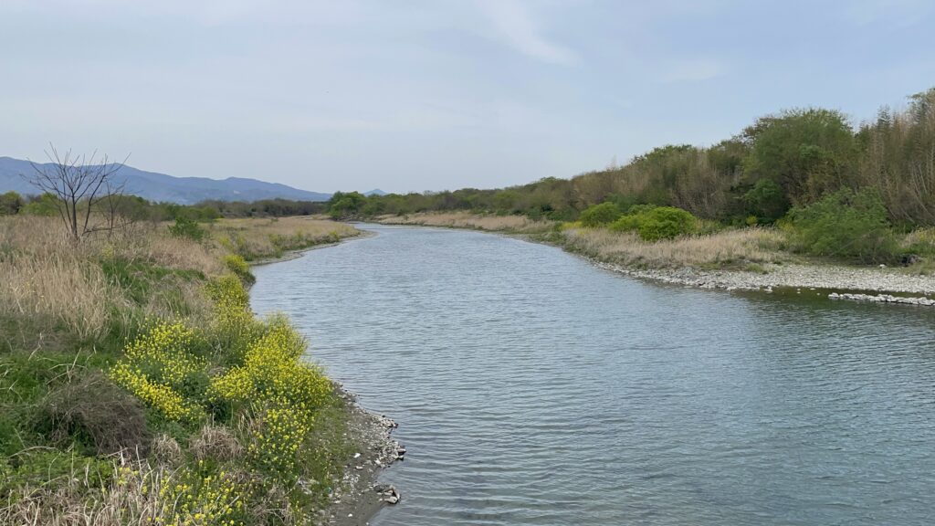 大野島橋から見下ろした吉野川