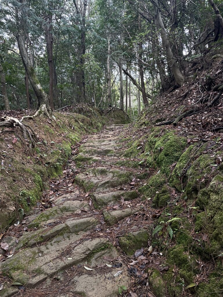 岩を削った切り通し
