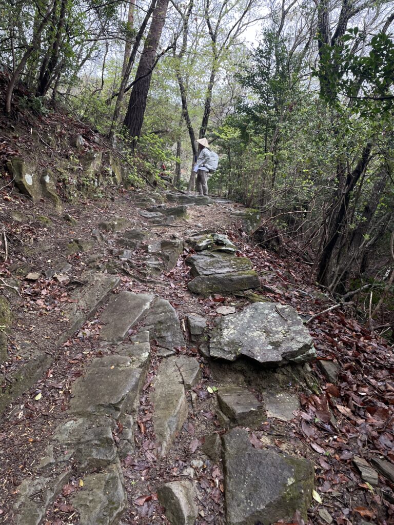 道の先にヤマさんが小休憩しているのが見えた