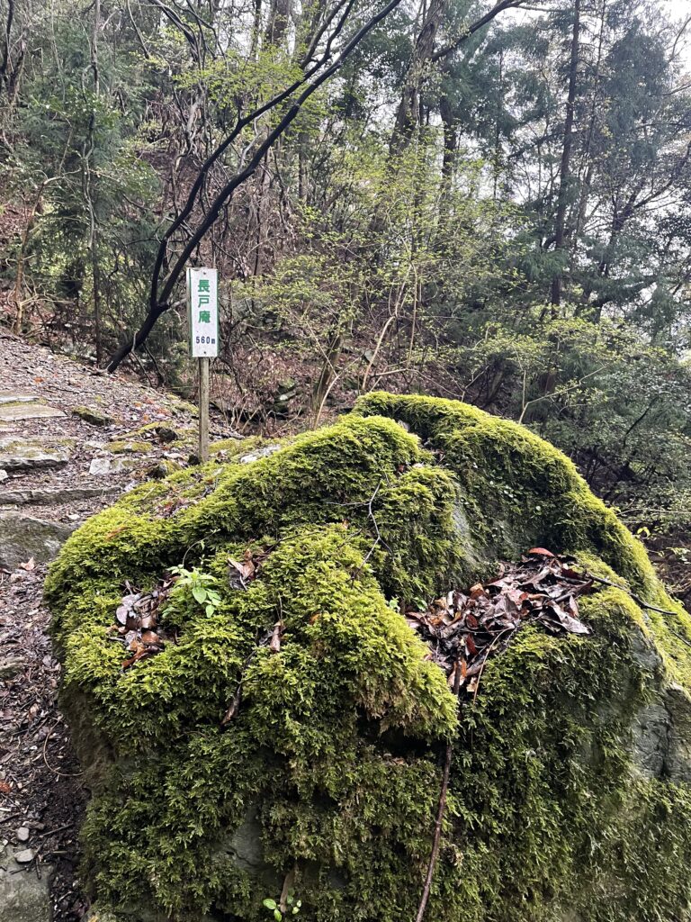 「長戸庵まで560m」の看板