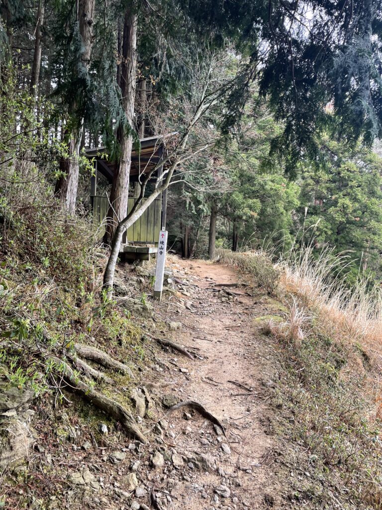 木を払った斜面を前に立つ休憩所