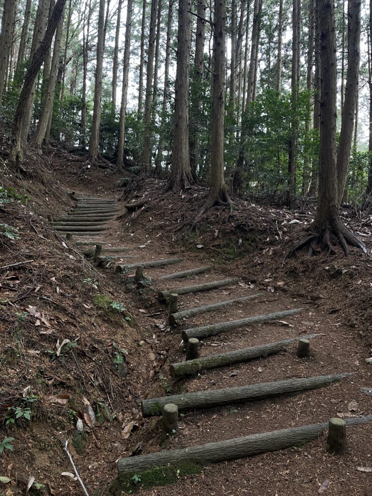 長めの階段があった（「へんろころがし2/6」？）