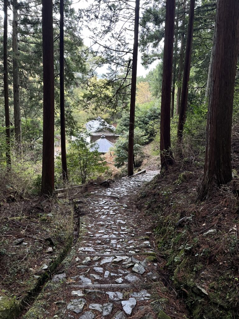 柳水庵に続く急な下り（「へんろころがし3/6」）