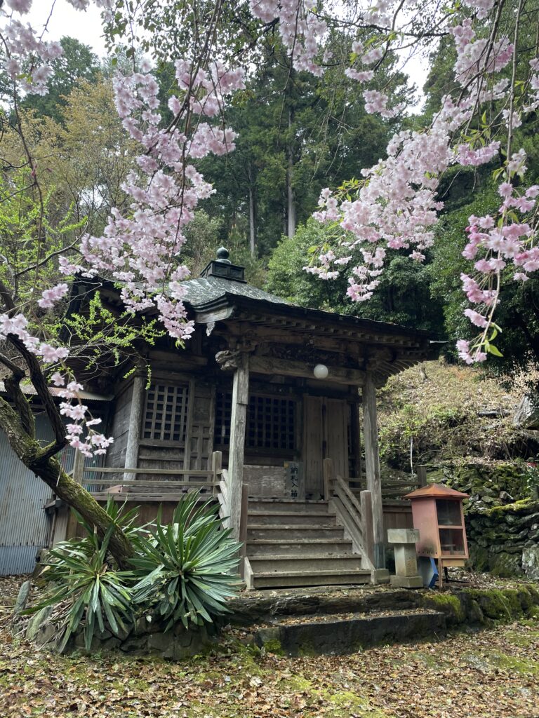 桜と柳水庵