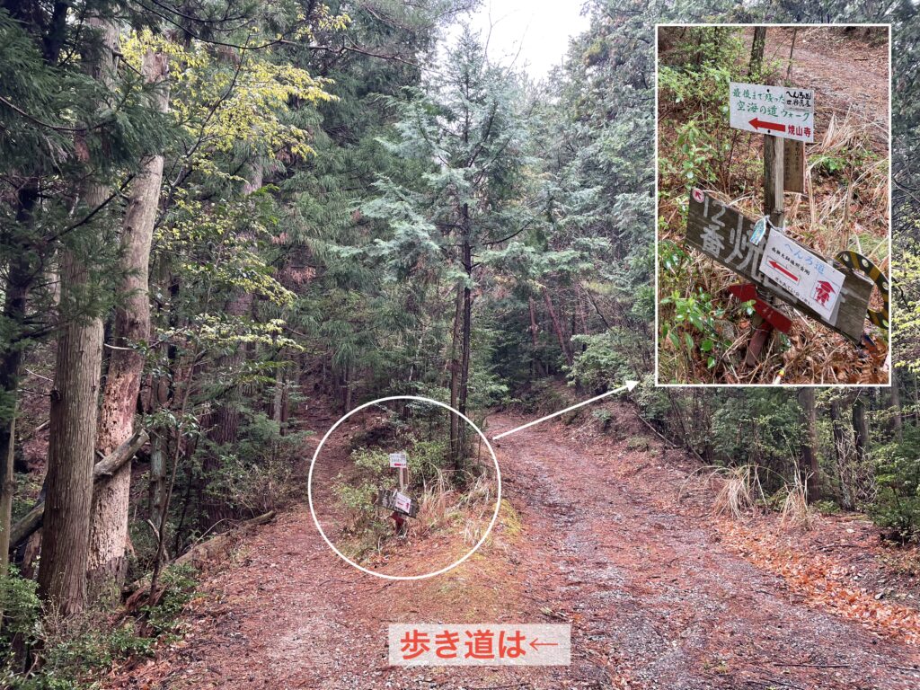 林道と歩き道の分岐