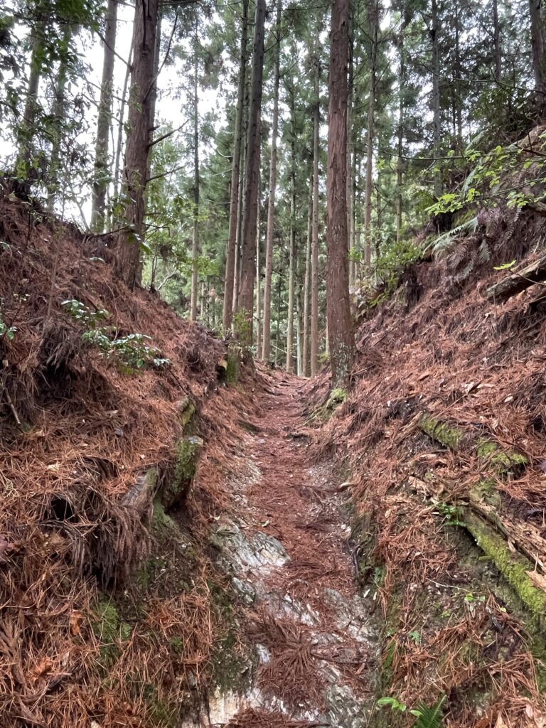 壁のような登り道