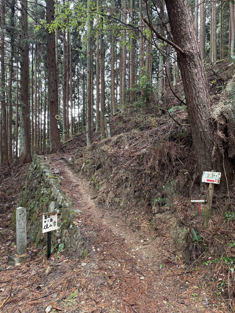45°の登りへの入口