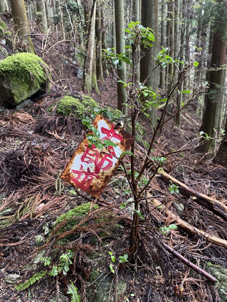 「大師道」の札