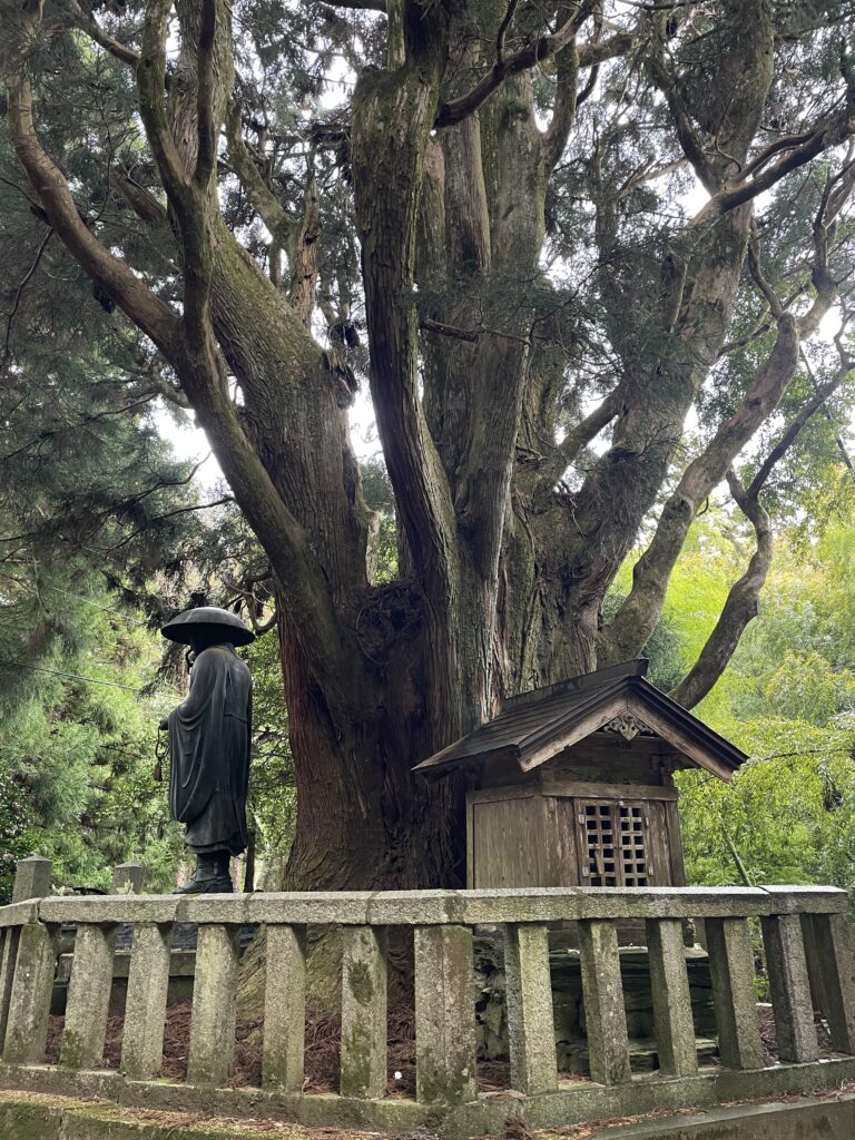 弘法大師像を後ろから見たところ