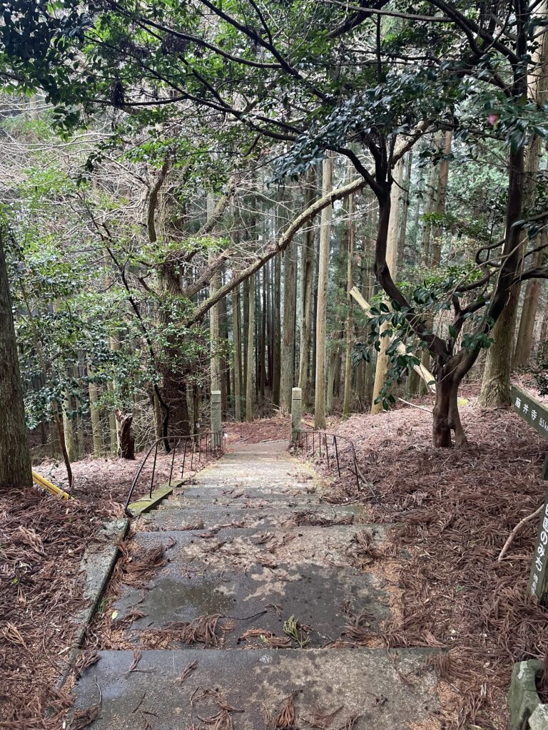 登ってきた階段を上から見下ろす