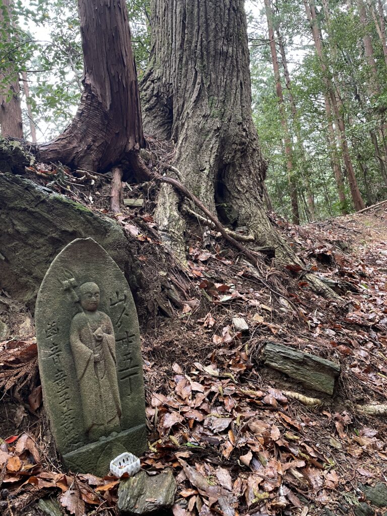 実際に急だった（下から見たところ）