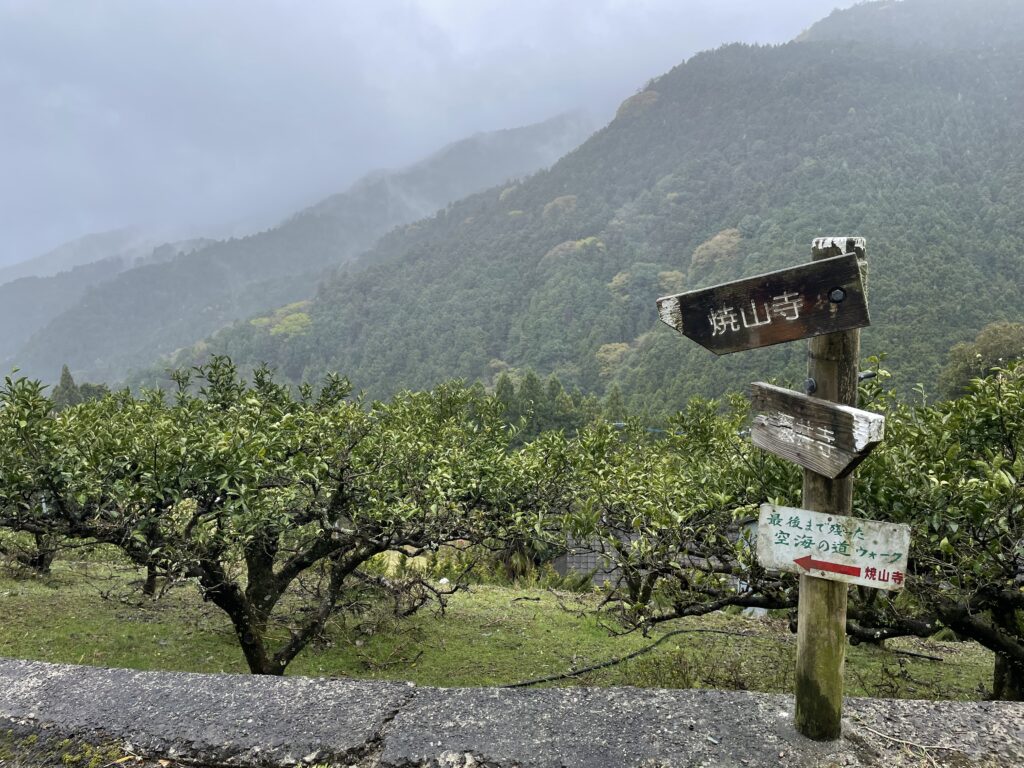 遠くの山々が雨に霞んでいる