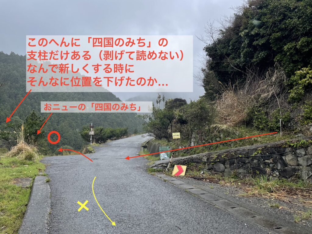 少し引いたところから分岐を見る