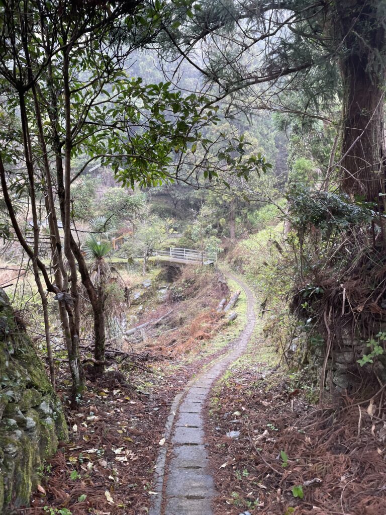 水路の蓋の上を下っていく