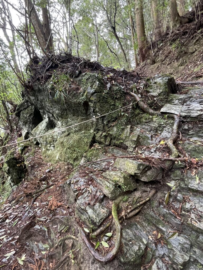 ロープを掴んでもなかなか登れない岩