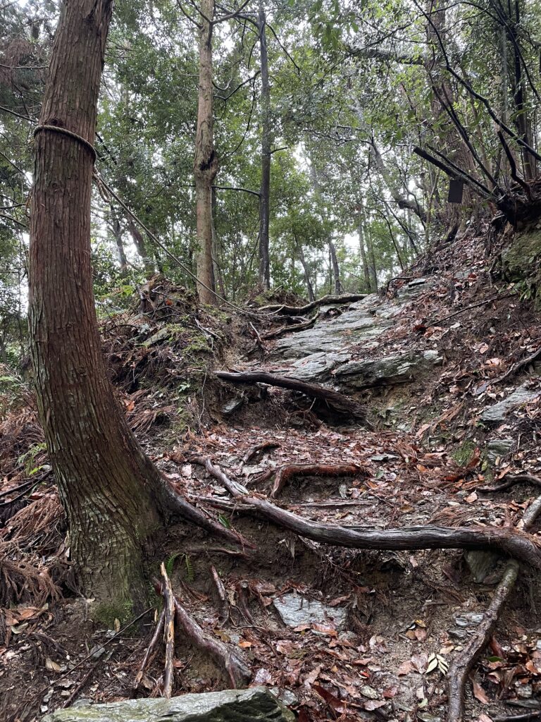 トラロープその２