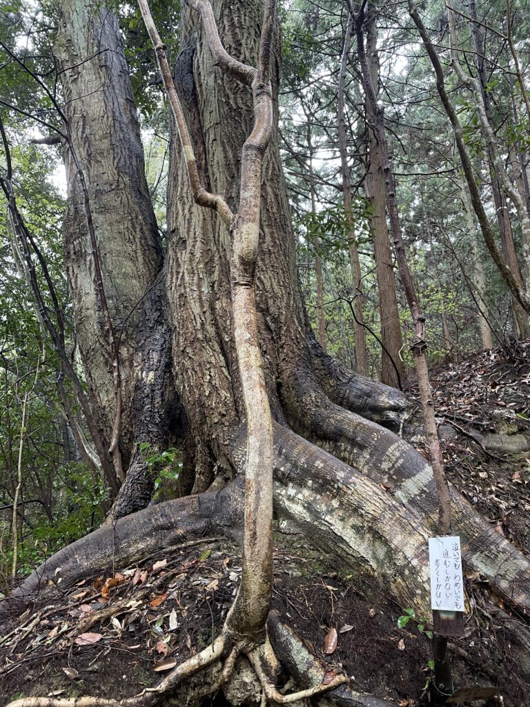 「泣いても　わめいても　進むしかない　歩くしかない」と書かれた札