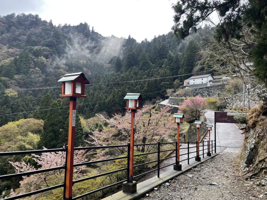 次の札所に向けて参道を下る。山からは水蒸気が昇っていく