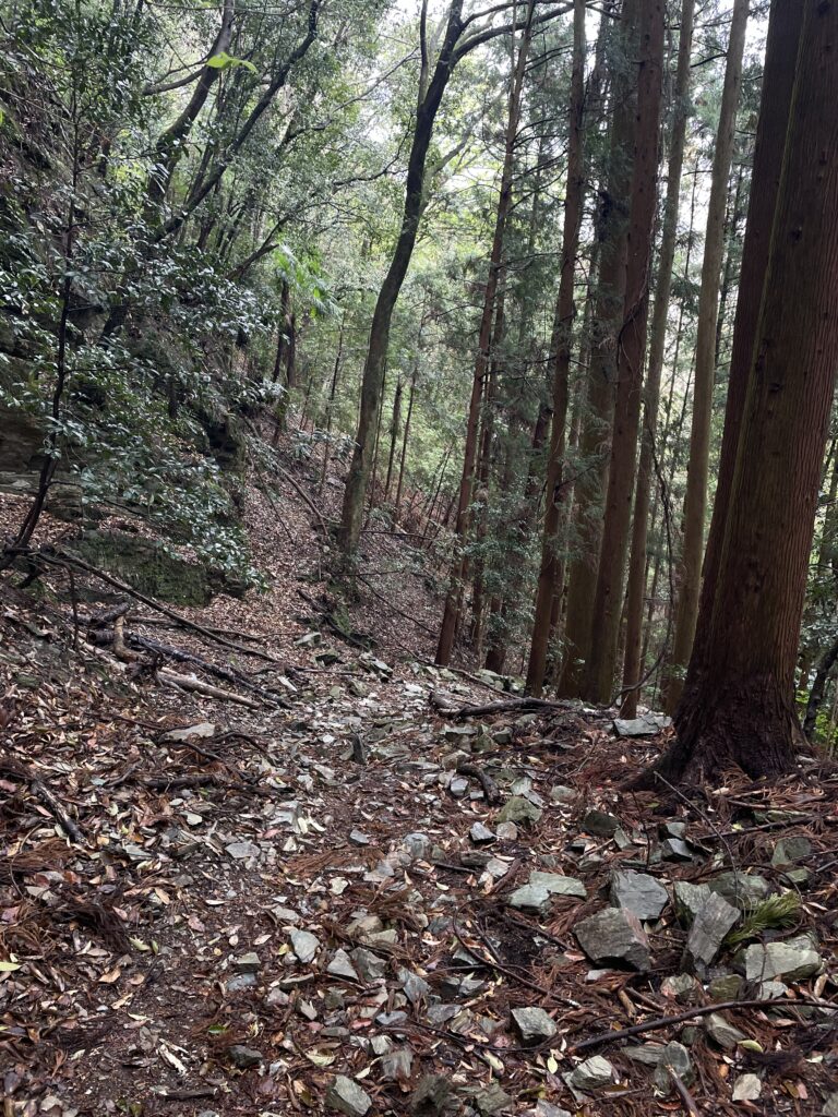 小石が転がる道