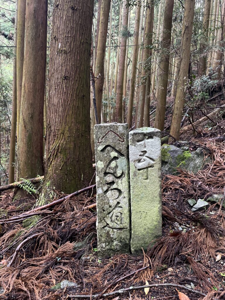 杉の枯れ枝に埋もれる石柱