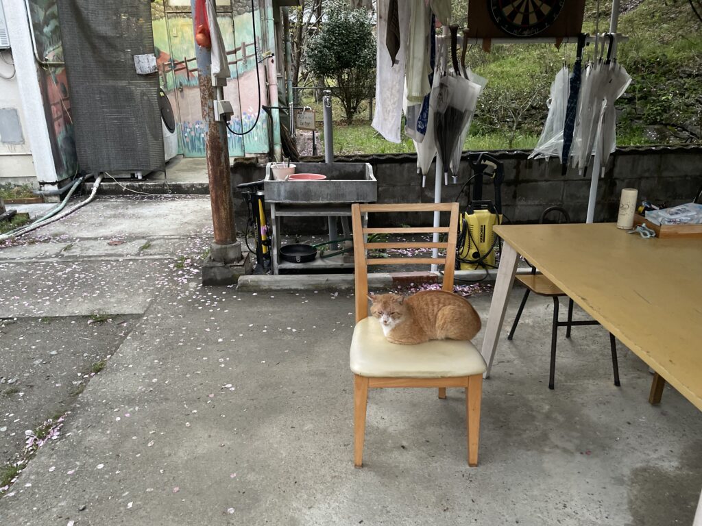 物干しスペース、店番のにゃんこも常駐