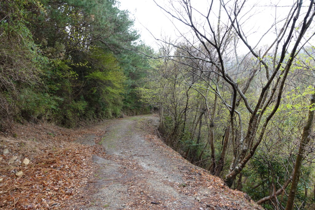 平らで快適な道が続く
