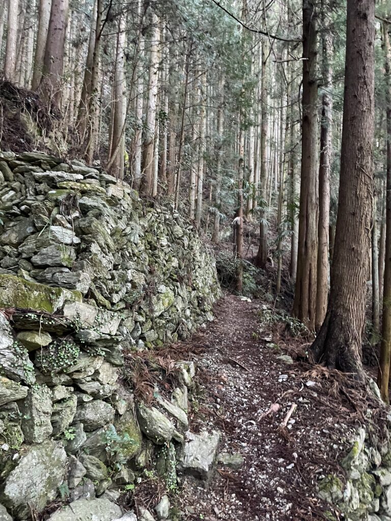 道の下側の段にも石垣がしっかり積まれている