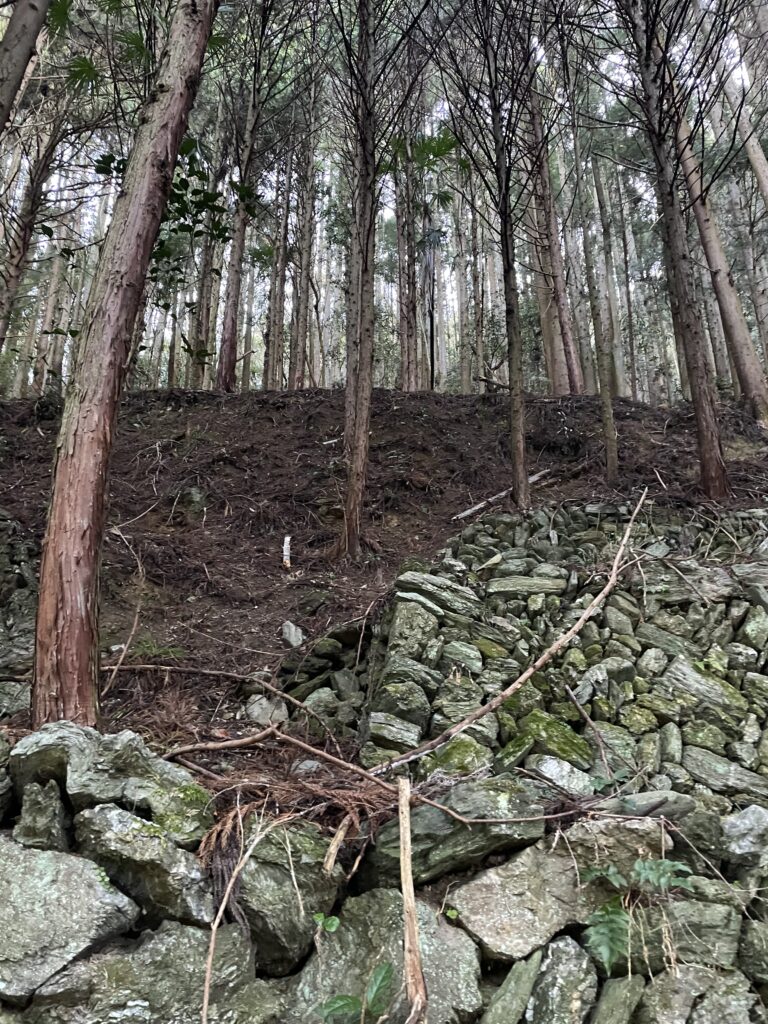 何重にも重なる石垣