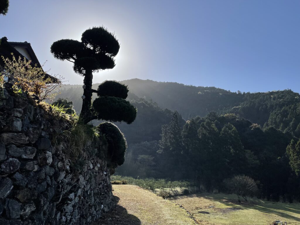 民家の裏手から出てきた