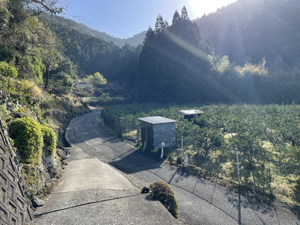 果樹園の横を通って、更に奥へ進む
