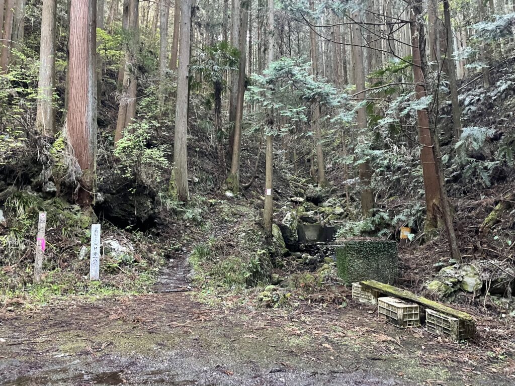 玉ケ峠道への入口