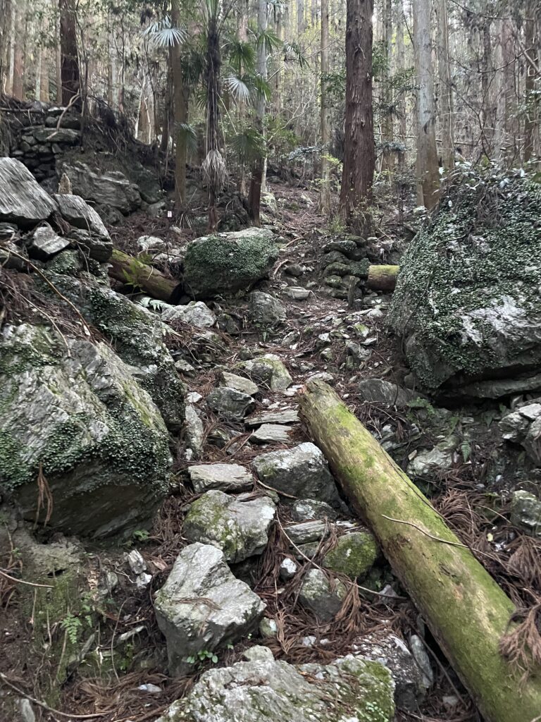 大きな岩もごろごろしている