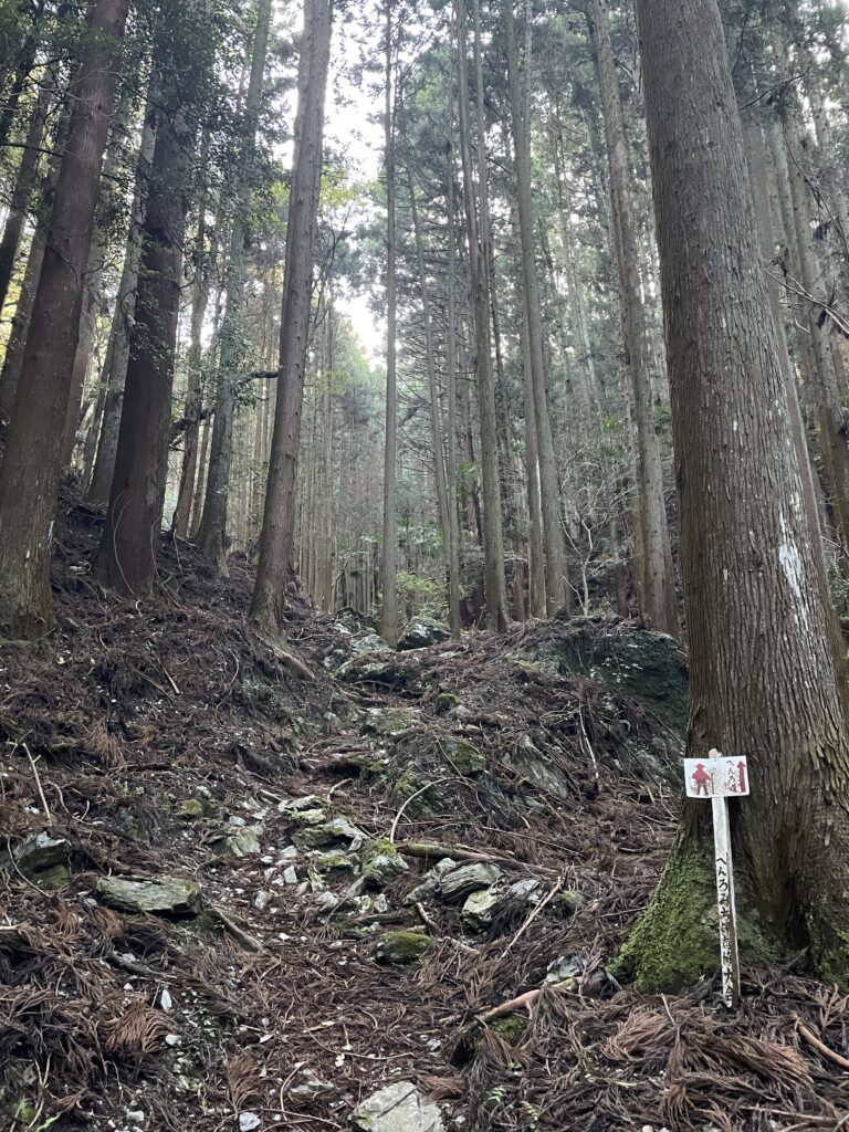 壁のような登り