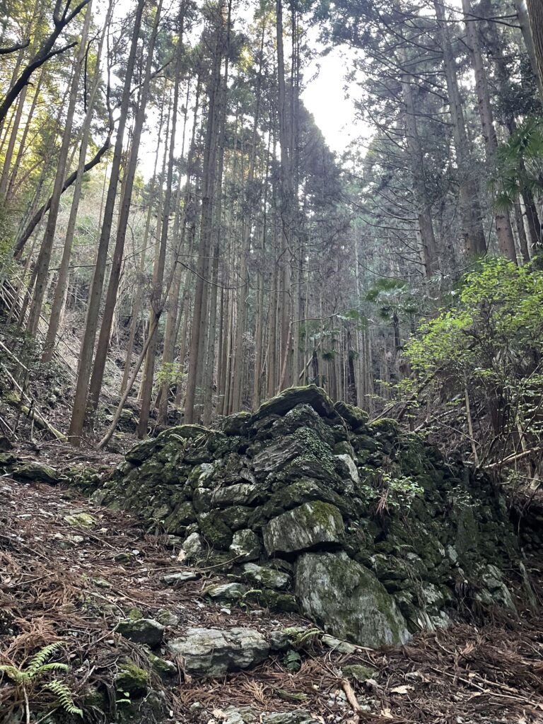 ここにも石垣がある