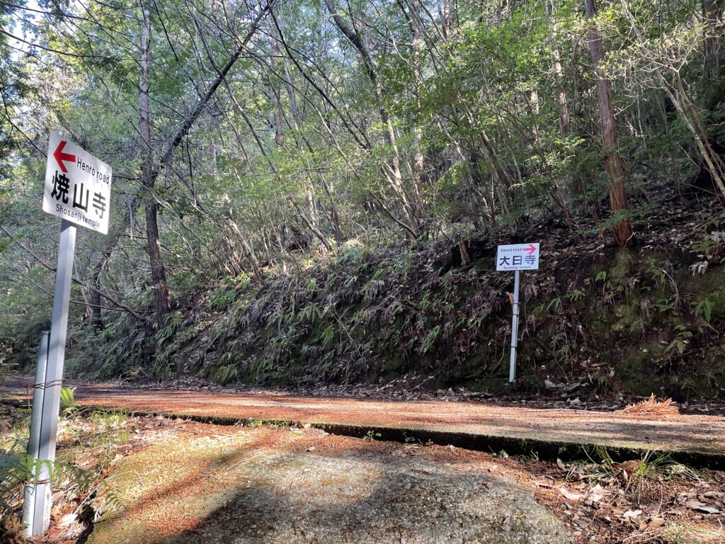 山道から車道へ出る