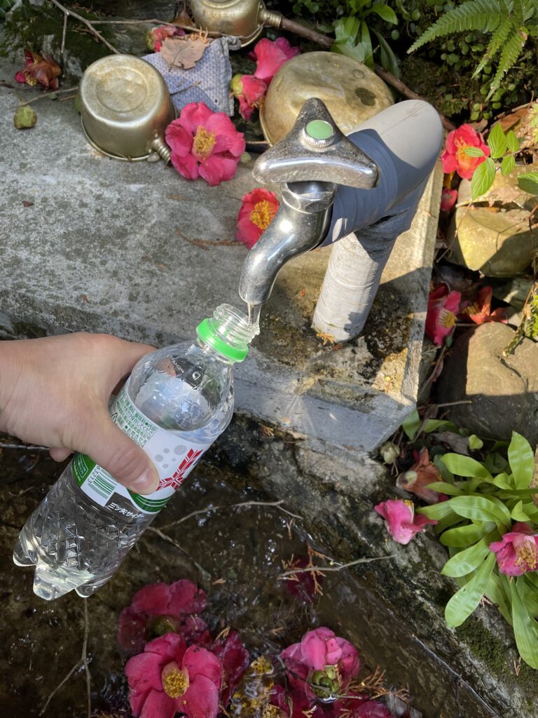 手水鉢にも落ち椿